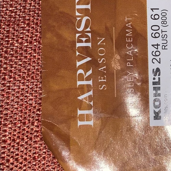 Paisley Harvest Season CLOTH PLACEMATS Fall Decor - Picture 10 of 10